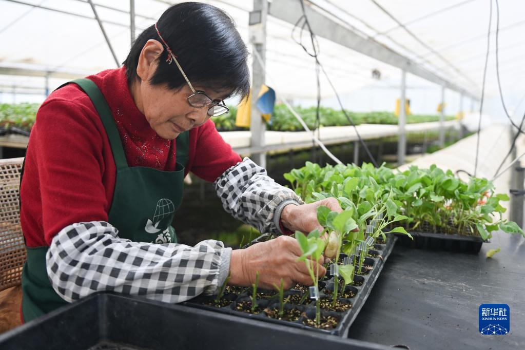 浙江:春耕備耕正當(dāng)時(shí)