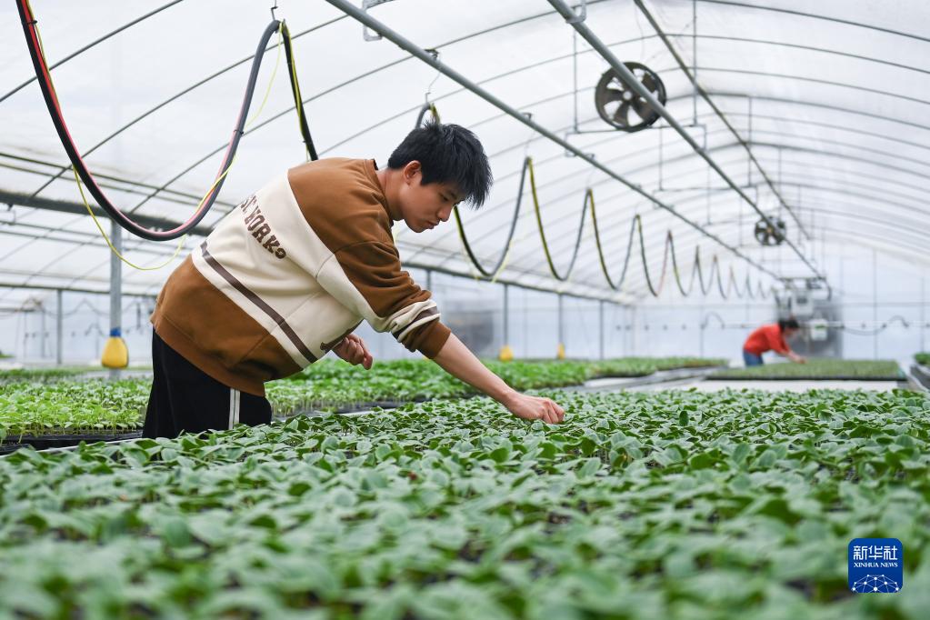 浙江:春耕備耕正當(dāng)時(shí)