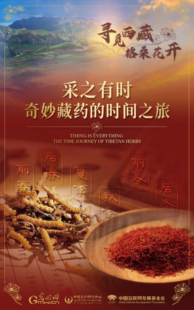 【尋覓西藏·格?;ㄩ_】采之有時(shí):奇妙藏藥的時(shí)間之旅