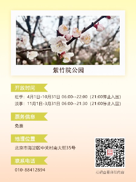 追花指南第六期！杏花雨 楊柳風(fēng) 北京最美的杏花在這里