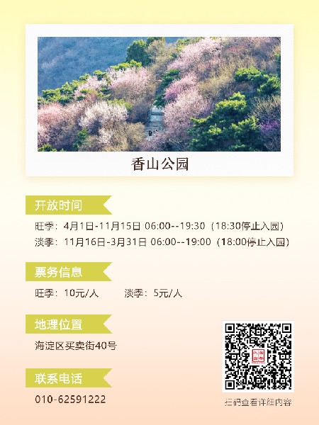 追花指南第六期！杏花雨 楊柳風(fēng) 北京最美的杏花在這里