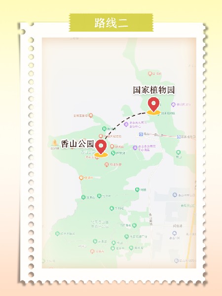 追花指南第六期！杏花雨 楊柳風(fēng) 北京最美的杏花在這里