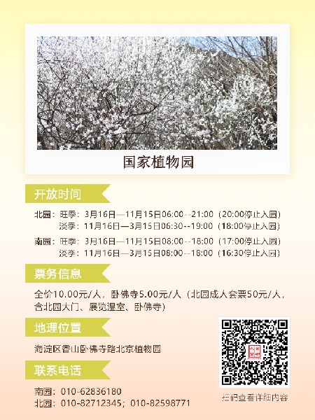 追花指南第六期！杏花雨 楊柳風(fēng) 北京最美的杏花在這里