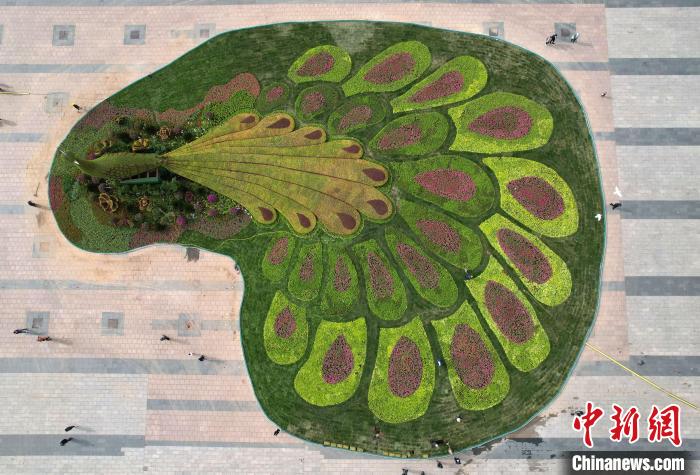 圖為航拍花壇。(無人機(jī)照片) 翟羽佳 攝