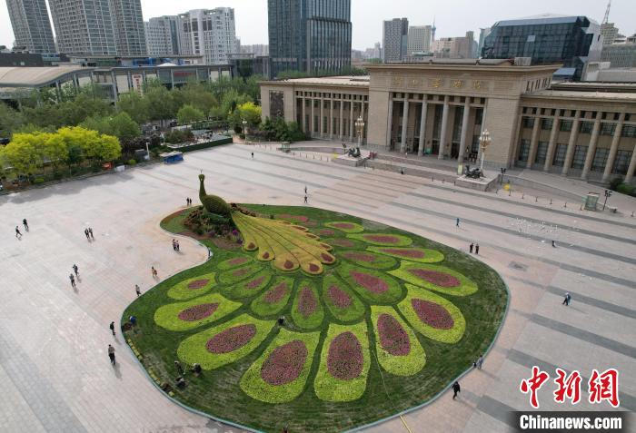 圖為航拍花壇。(無人機(jī)照片) 翟羽佳 攝