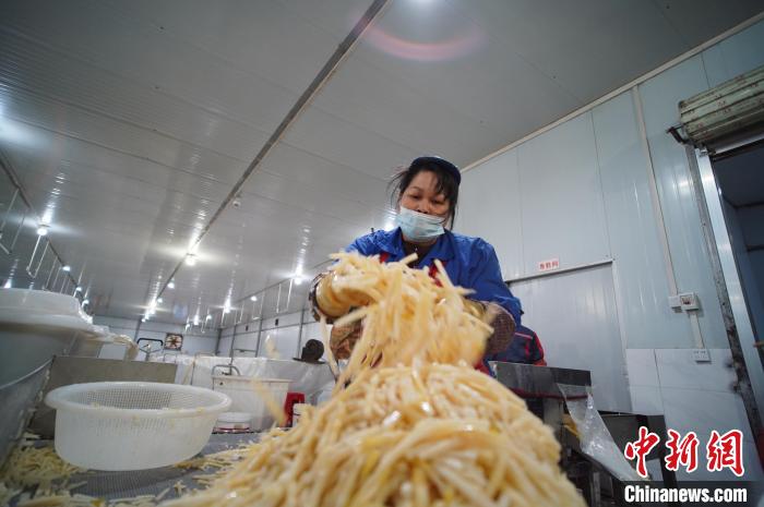 圖為一名工人正在處理切成條狀后的酸筍?！№f國政 攝