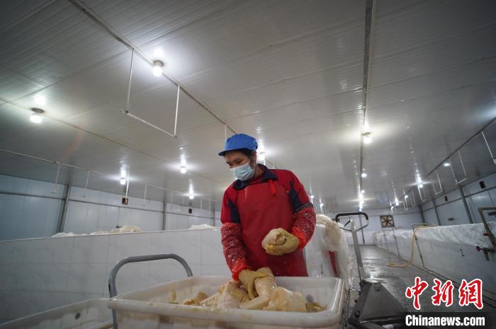 圖為一名工人正在查看酸筍腌制效果?！№f國政 攝