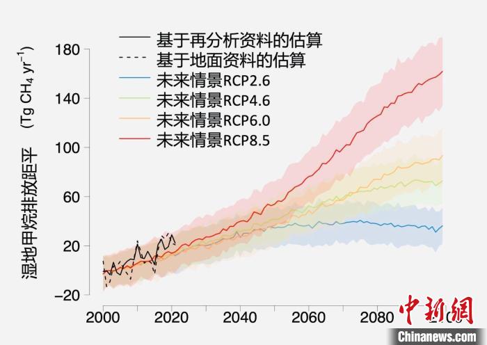基于觀測(cè)的濕地甲烷排放變化與未來(lái)氣候變化情景下估算的對(duì)比?！≈锌圃呵嗖馗咴?供圖