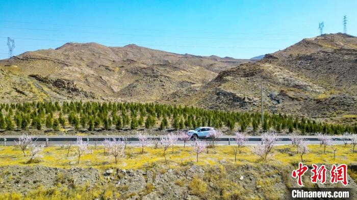 生態(tài)修復(fù)后逐漸變綠的賀蘭山石嘴山段?！∈焐绞形麄鞑抗﹫D