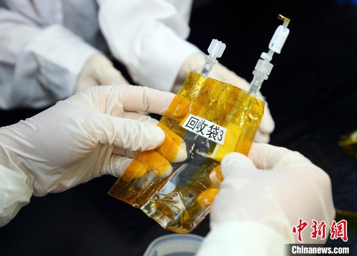 隨神舟十五號返回地面的空間科學實驗樣品?！≈锌圃嚎臻g應用中心 供圖