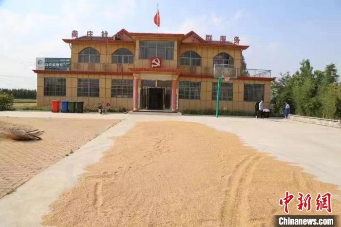 農(nóng)民在邳莊鎮(zhèn)尚莊村黨群服務(wù)中心大院里曬糧?！≠Z萌 攝
