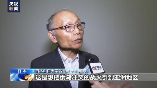 日本學(xué)者:日本不斷向北約靠攏 走上危險(xiǎn)道路