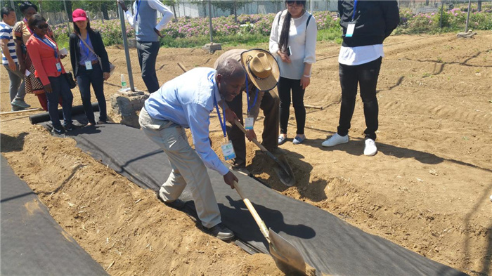 孫釗現(xiàn)場指導農(nóng)民耕種。受訪者供圖