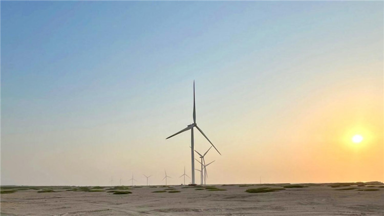 圖為阿聯(lián)酋風(fēng)電示范項目在阿布扎比薩爾巴尼亞斯島上的風(fēng)電場。 中國電建供圖