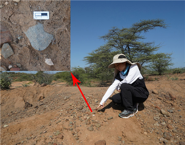 地層中的勒瓦婁哇石片。中肯聯(lián)合考古隊供圖