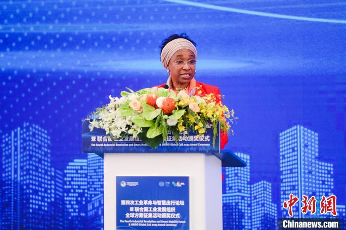 聯(lián)合國工業(yè)發(fā)展組織總干事代表兼執(zhí)行干事法圖 海達拉致辭。