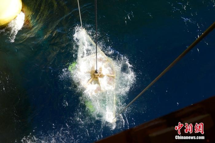 機(jī)器人入水瞬間。<a target='_blank' href='/' _fcksavedurl='/' ><p  align=