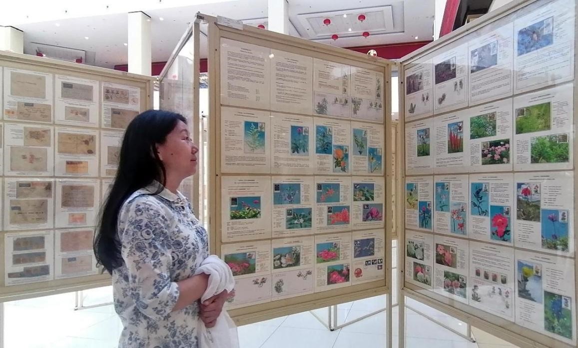 藥用植物極限片展覽場景。第七屆阿聯(lián)酋集郵展主辦方供圖