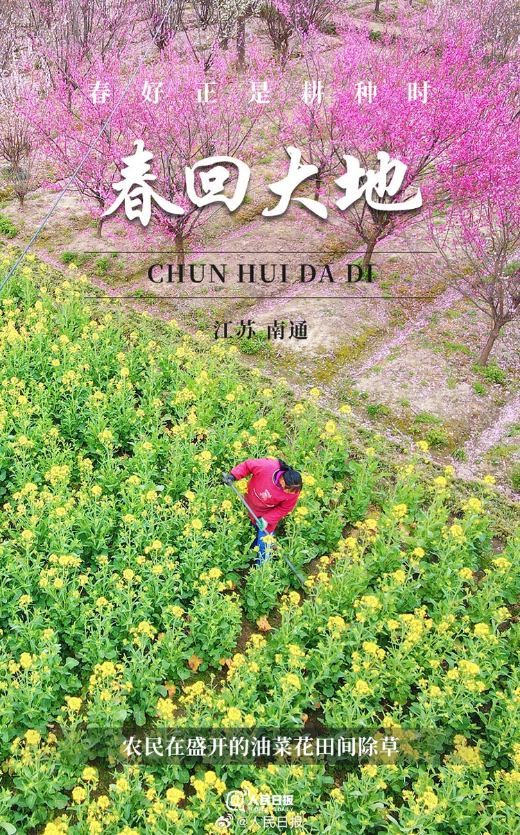 生機(jī)盎然！用課本封面打開春耕畫卷