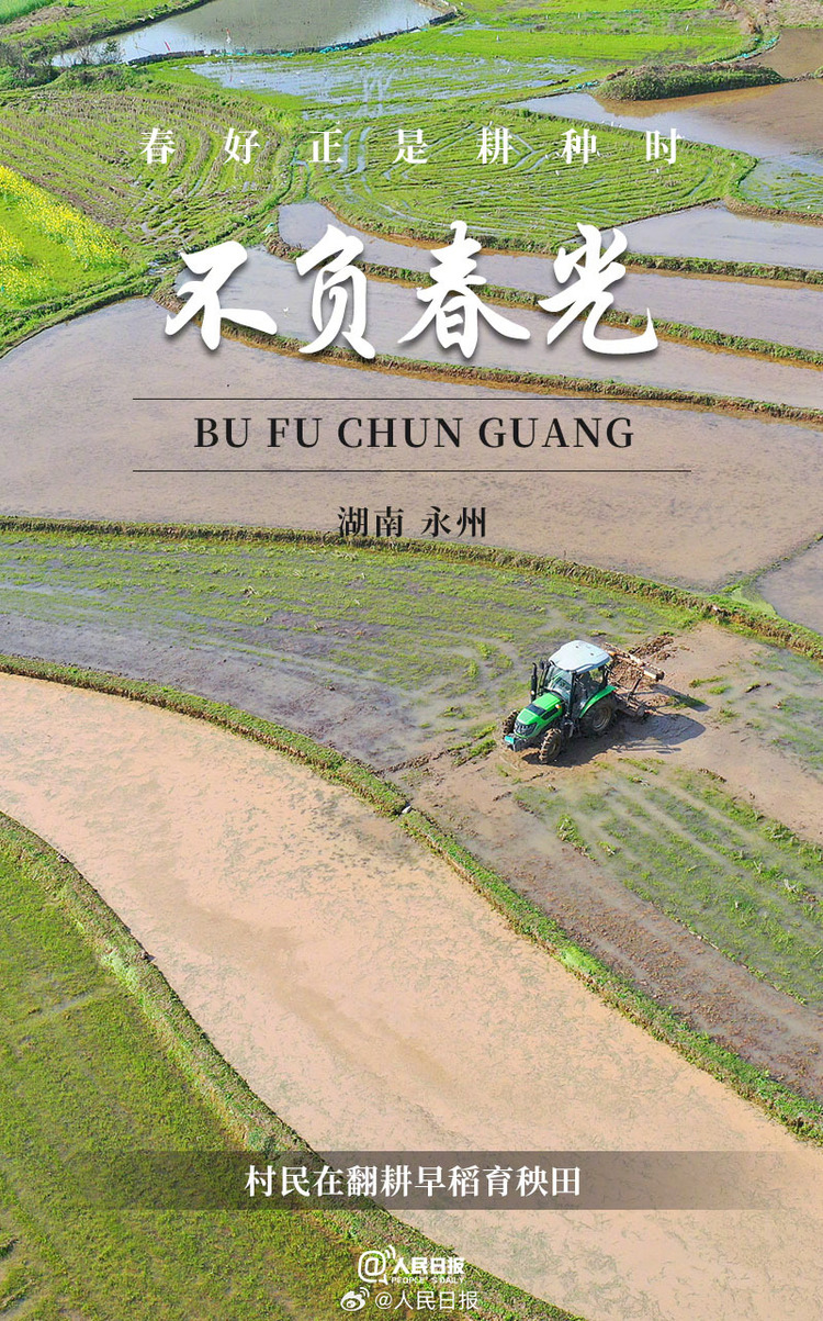 生機(jī)盎然！用課本封面打開春耕畫卷