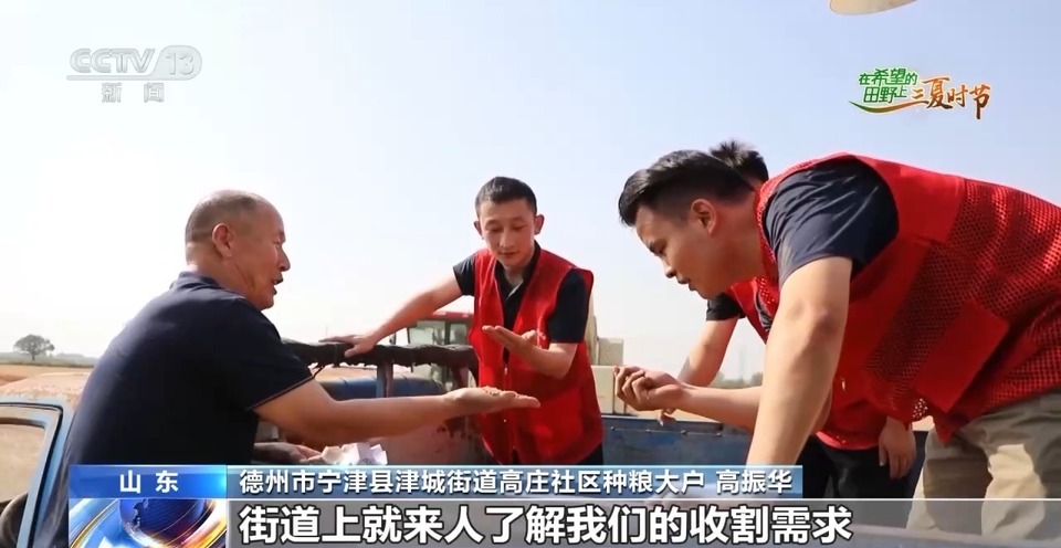 “三夏”生產(chǎn)思維導(dǎo)圖安排上了！還有政府大院等你來“曬”