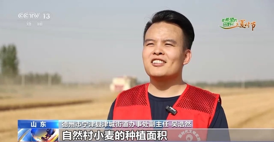 “三夏”生產(chǎn)思維導(dǎo)圖安排上了！還有政府大院等你來“曬”