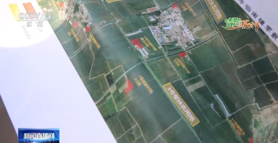 “三夏”生產(chǎn)思維導(dǎo)圖安排上了！還有政府大院等你來“曬”