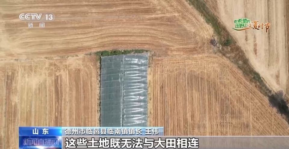 “三夏”生產(chǎn)思維導(dǎo)圖安排上了！還有政府大院等你來“曬”