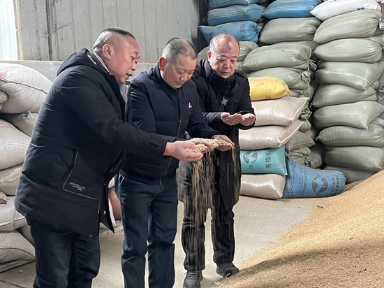 桃江種糧大戶與農(nóng)村農(nóng)業(yè)局技術(shù)人員正在查看春耕種子情況。受訪單位供圖