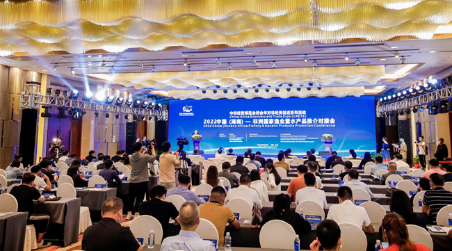 對接會現場。湖南省商務廳供圖