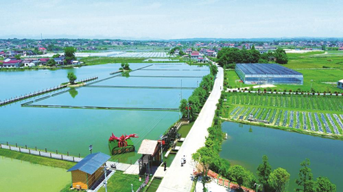 近年來，大成橋鎮(zhèn)堅持加強黨對鄉(xiāng)村治理的集中統(tǒng)一領導，該鎮(zhèn)鄉(xiāng)村治理模式入選第二批全國鄉(xiāng)村治理典型案例。圖為美麗的大成橋鎮(zhèn)。（資料圖片）