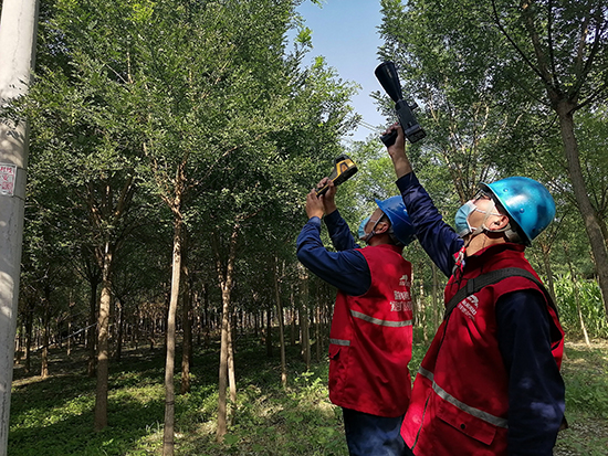 工作人員進行紅外測溫及超聲波局部放電檢測。 王亮攝