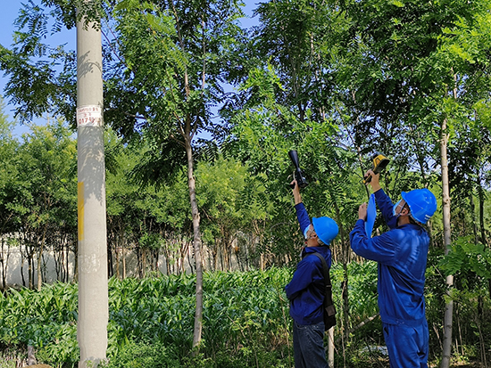 工作人員進行紅外測溫及超聲波局部放電檢測。 王亮攝