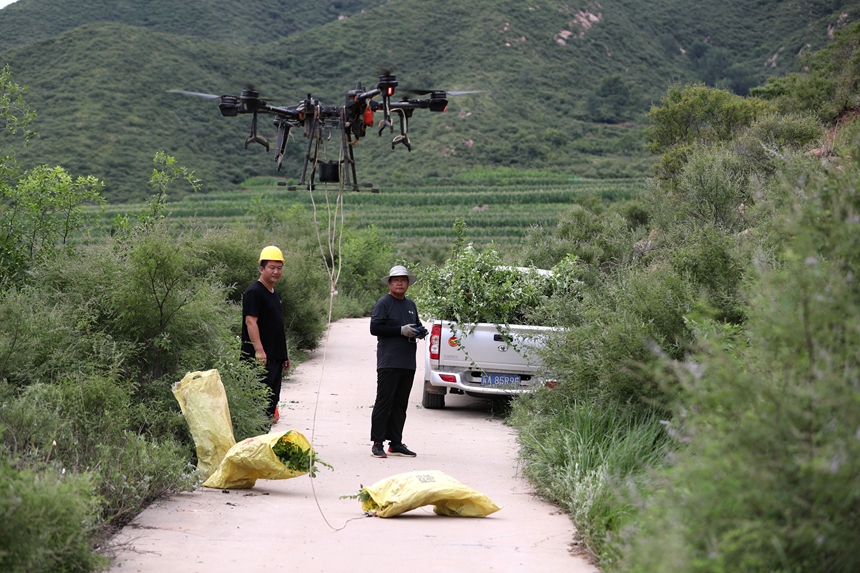 在石家莊市井陘縣吳家窯鄉(xiāng)長峪村荒山造林現(xiàn)場，一名無人機(jī)手操控?zé)o人機(jī)運輸樹苗。王保龍攝