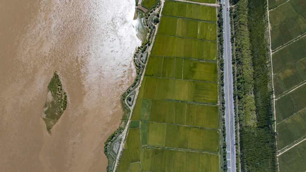 鏡觀·回響丨西部生態(tài)建設(shè):以高水平保護支撐高質(zhì)量發(fā)展