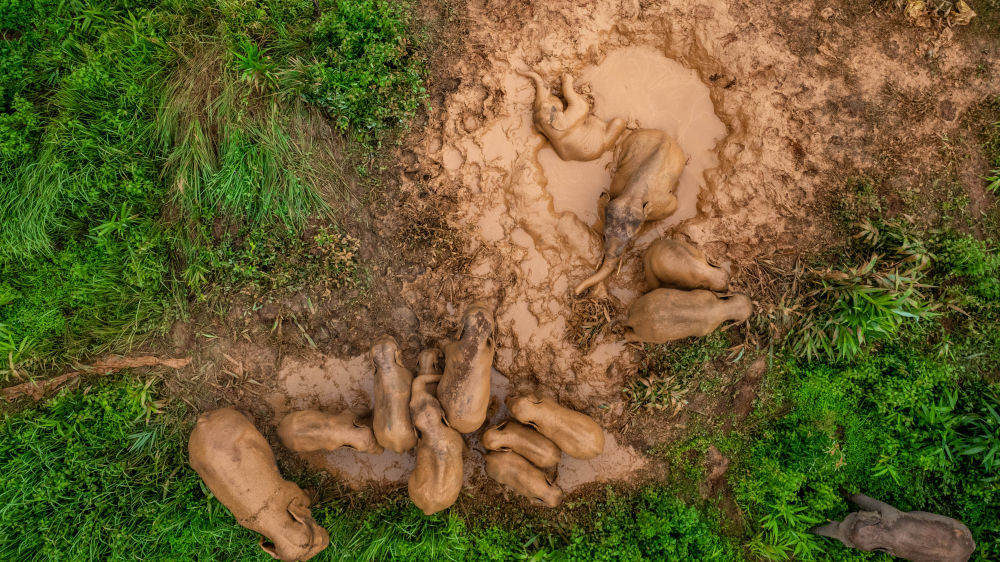 鏡觀·回響丨西部生態(tài)建設(shè):以高水平保護支撐高質(zhì)量發(fā)展