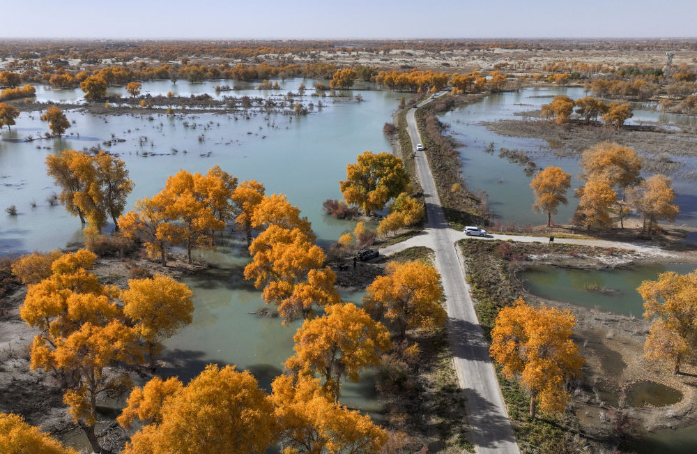 鏡觀·回響丨西部生態(tài)建設(shè):以高水平保護支撐高質(zhì)量發(fā)展