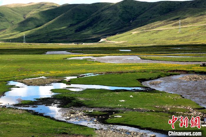 監(jiān)測顯示:6月青海省草地產(chǎn)草量較近五年略增