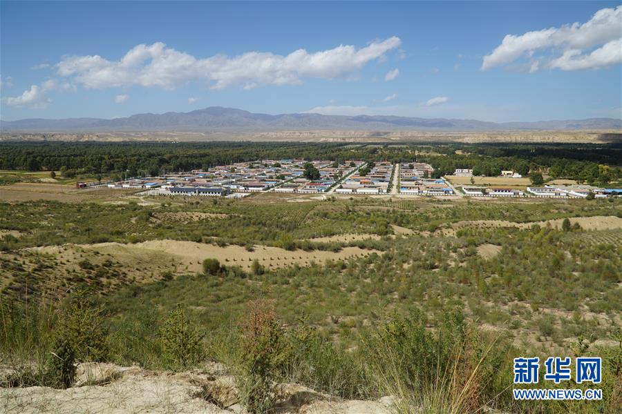 （決戰(zhàn)決勝脫貧攻堅·圖文互動）（2）高原鄉(xiāng)鎮(zhèn)沙珠玉 治沙斗貧成“綠?！薄嗪Ｊ」埠涂h沙珠玉鄉(xiāng)采訪見聞