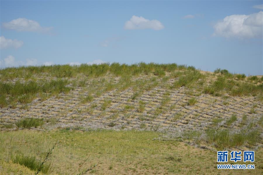 （決戰(zhàn)決勝脫貧攻堅(jiān)·圖文互動(dòng)）（3）高原鄉(xiāng)鎮(zhèn)沙珠玉 治沙斗貧成“綠?！薄嗪Ｊ」埠涂h沙珠玉鄉(xiāng)采訪見聞