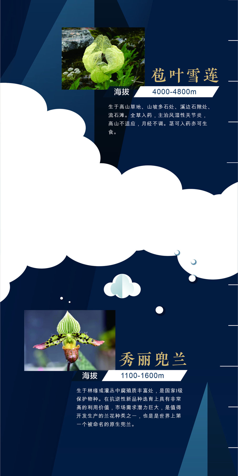 地球第三極:8000米落差造就的生物多樣性之美