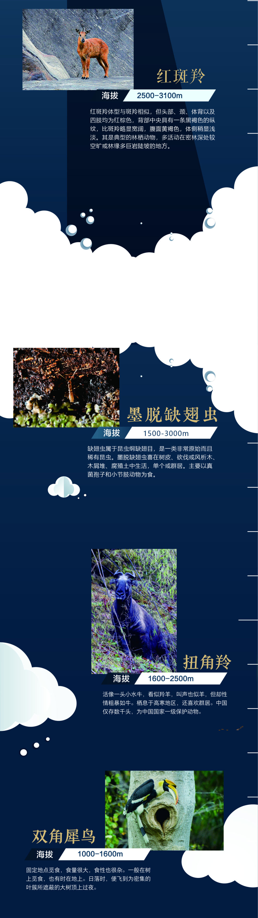 地球第三極:8000米落差造就的生物多樣性之美