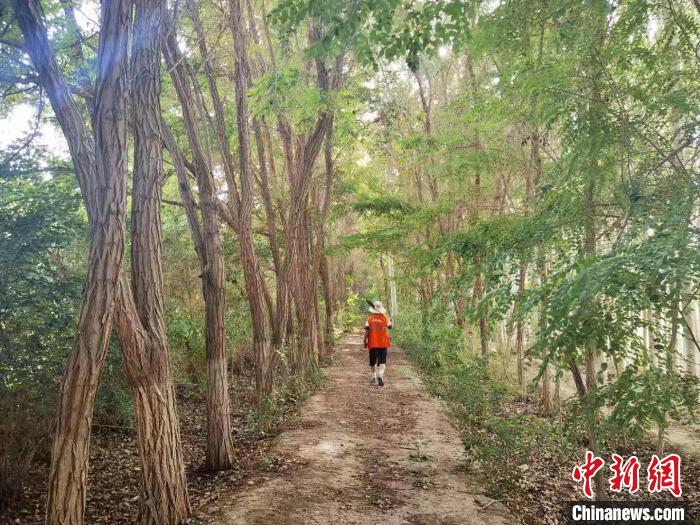 戈壁灘上的護(hù)林員：以前風(fēng)吹睜不開(kāi)眼，現(xiàn)在滿(mǎn)眼皆綠色