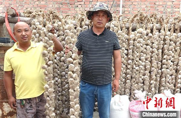 青海:鄉(xiāng)村振興電“幫忙”荒山變成綠寶地