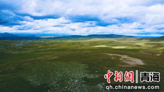 圖為長江南源沼澤濕地。李江寧攝