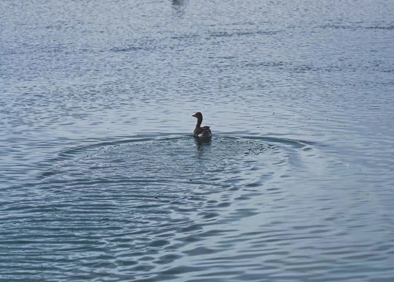 微信圖片_20220309104210.jpg 微信圖片_20220309104210.jpg