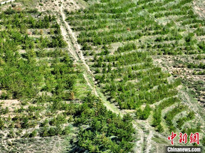 航拍建行青海省分行綠化區(qū)?！∑钤鲚?攝