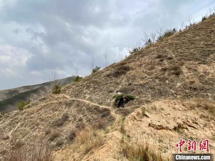 資料圖為建行青海省分行綠化區(qū)施工隊(duì)隊(duì)員人工運(yùn)樹苗?！〗ㄐ星嗪Ｊ》中泄﹫D