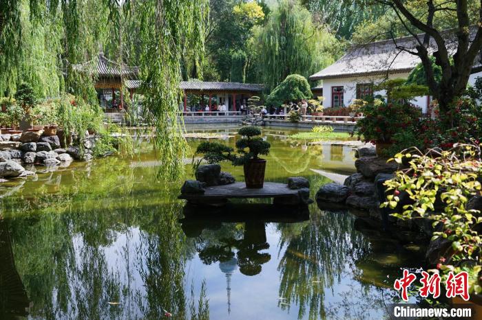 圖為西寧園林植物園秋日風景別有韻味?！●R銘言 攝