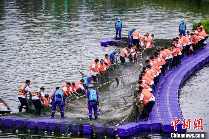 捕撈現(xiàn)場?！≈鬓k方供圖